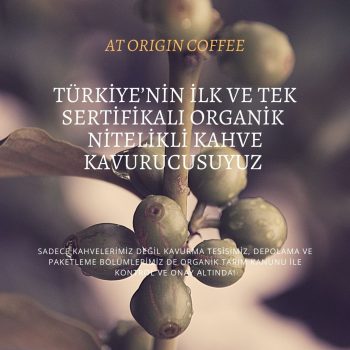 Türkiye’nin ilk ve tek sertifikalı Organik Nitelikli Kahve Kavurucusuyuz-4 organik kahve